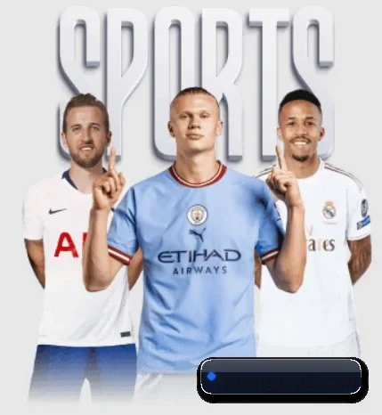 五大服务分区,信息按项目分类 - MangoSport